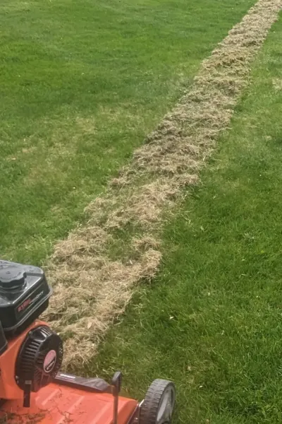 lawn-dethatching-in-ottawa