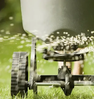 overseeding-grass-seeds-ottawa